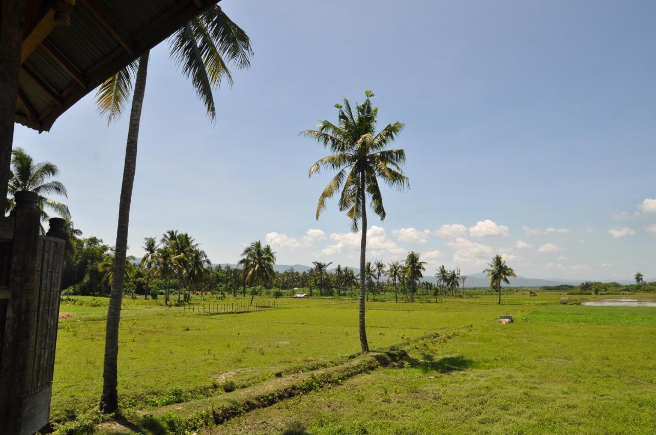 Sunset Homestay By Harry & Mimin Telaga Bagian luar foto
