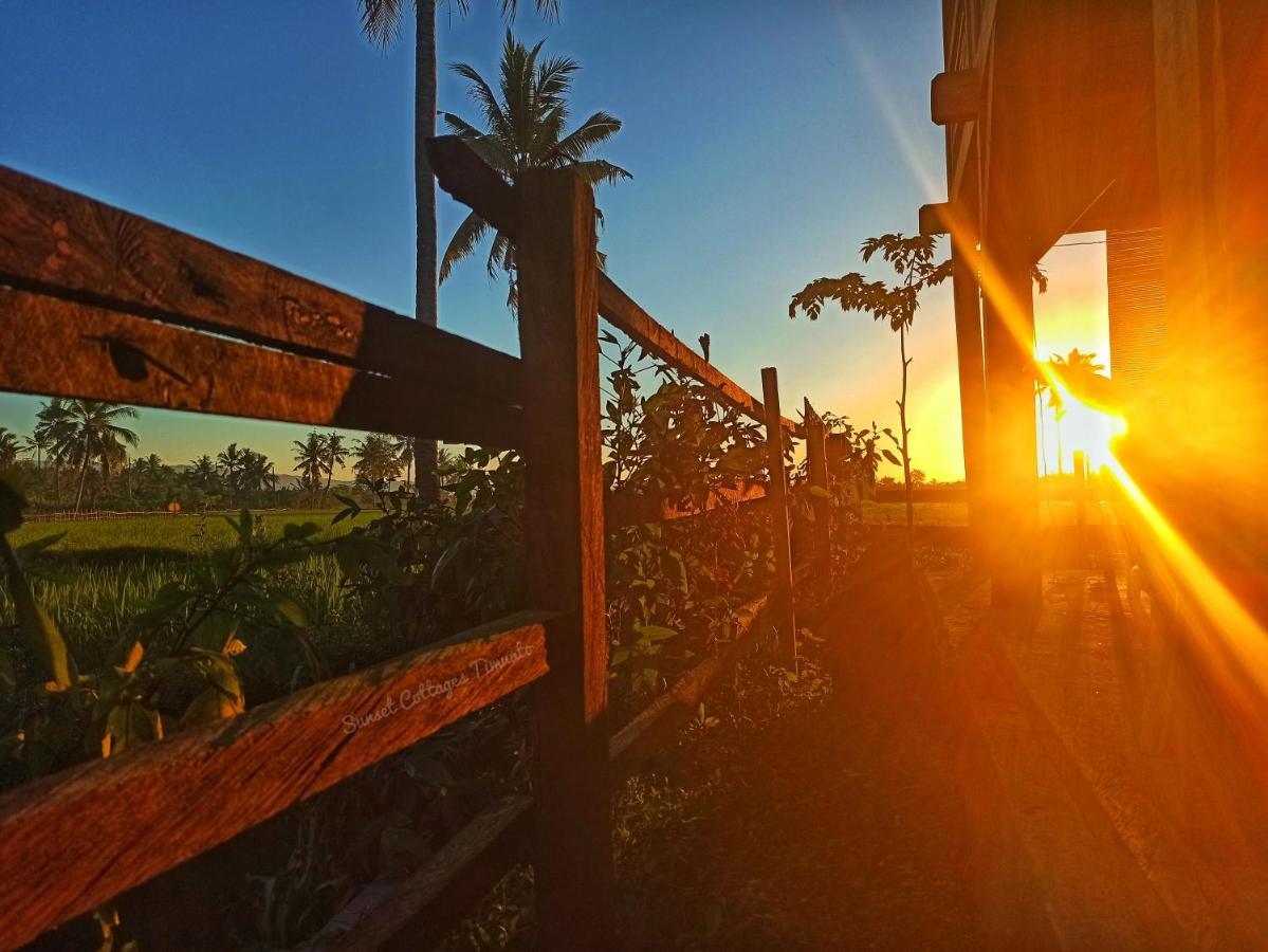 Sunset Homestay By Harry & Mimin Telaga Bagian luar foto