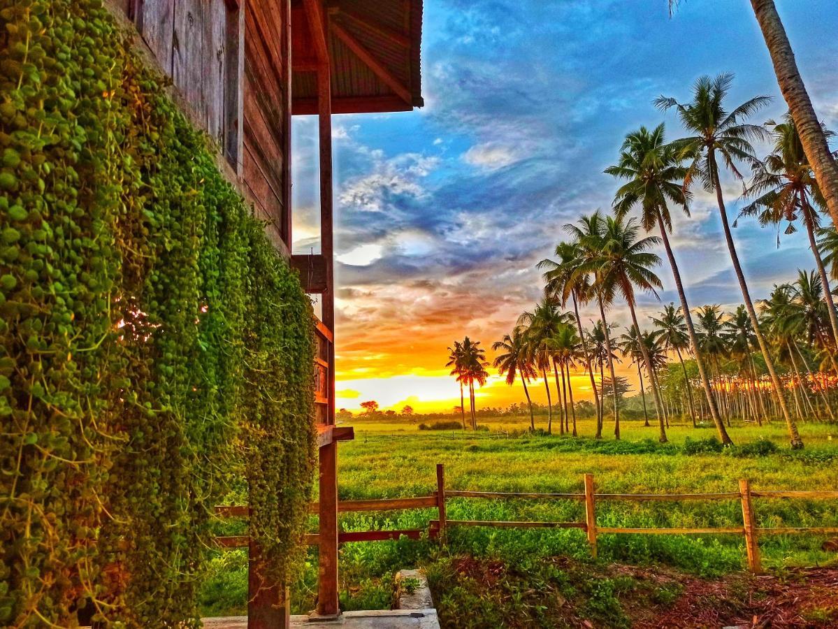 Sunset Homestay By Harry & Mimin Telaga Bagian luar foto