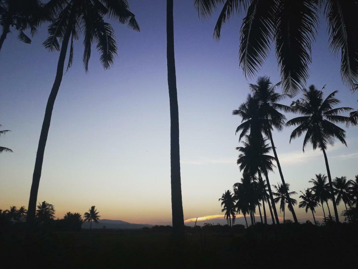 Sunset Homestay By Harry & Mimin Telaga Bagian luar foto