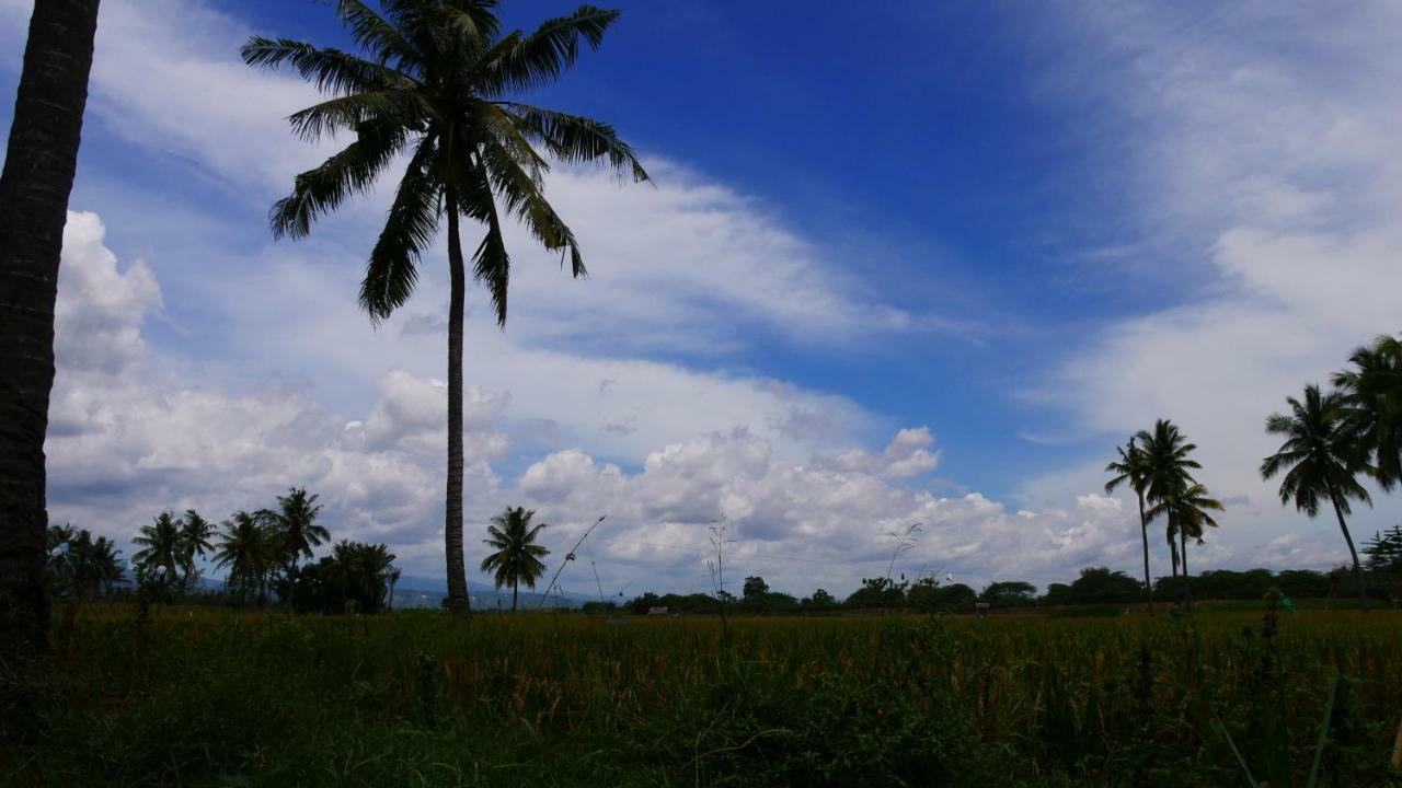 Sunset Homestay By Harry & Mimin Telaga Bagian luar foto